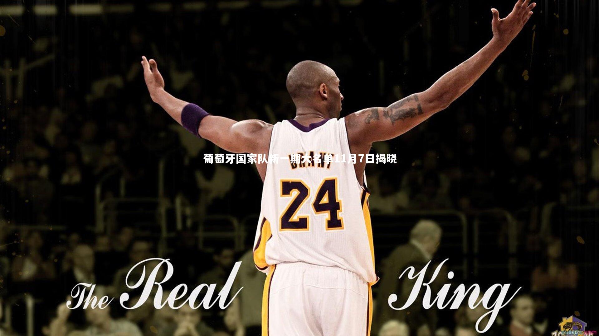 葡萄牙国家队新一期大名单11月7日揭晓